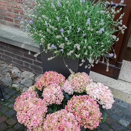 Kemper Havixbeck